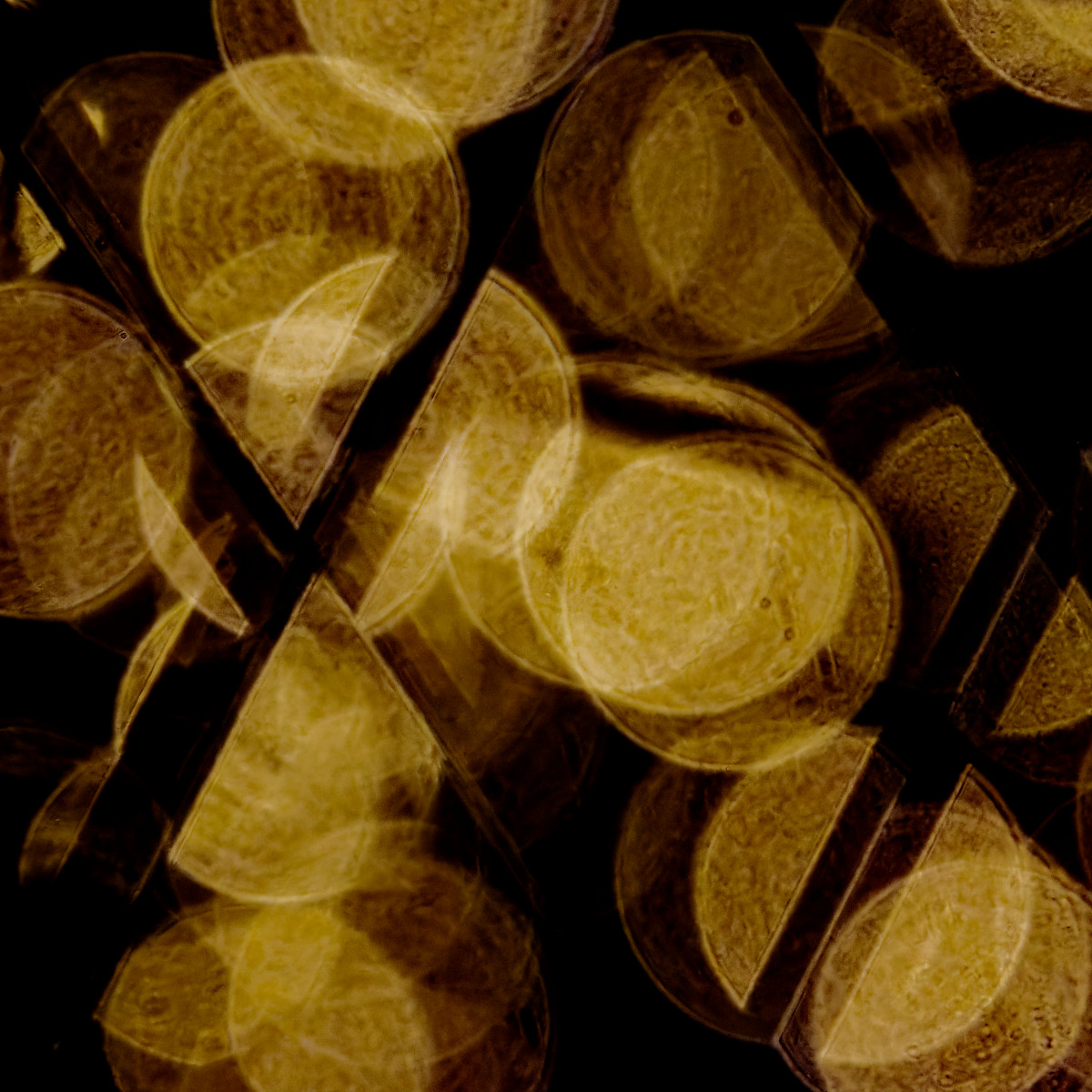002:365 abstract