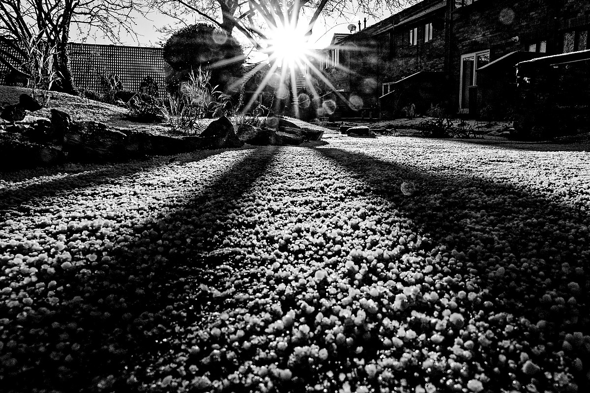 005:365 urban landscape