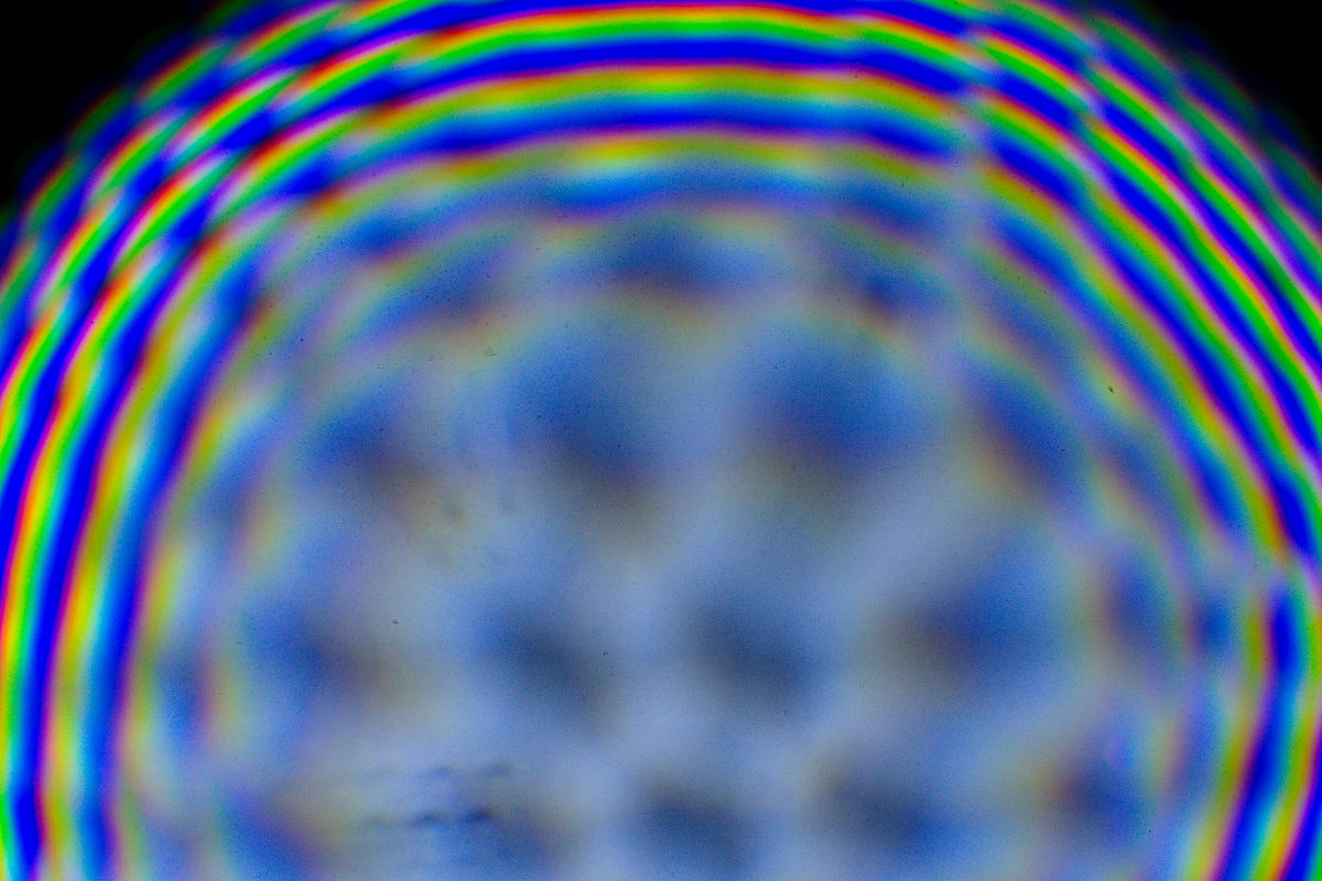 039:365 abstract