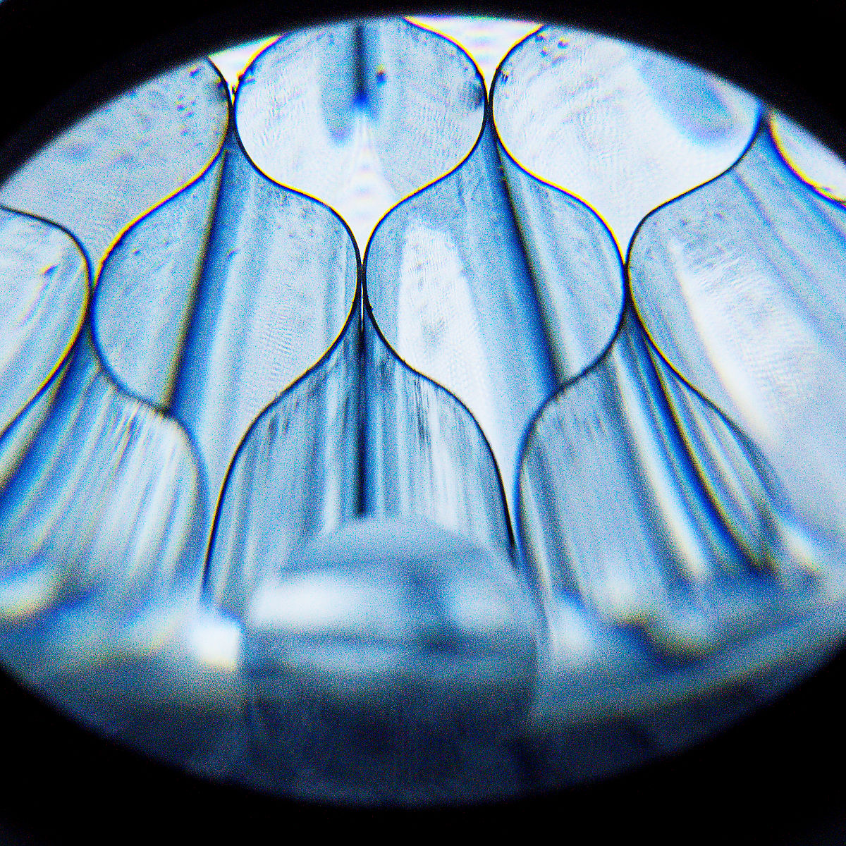 041:365 abstract