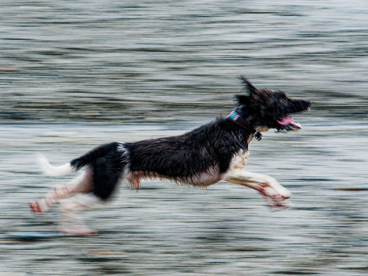 045:365 chasing