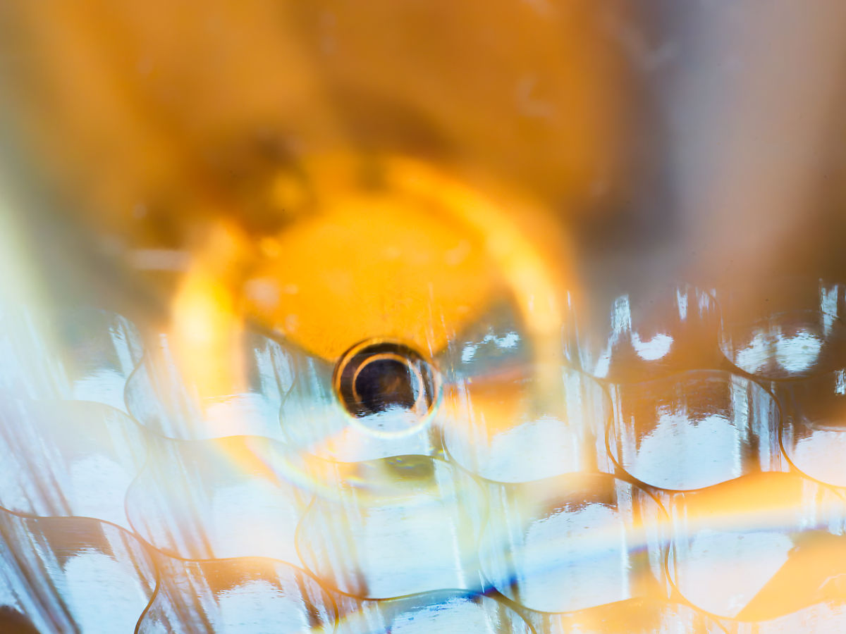 067:365 bubble blower