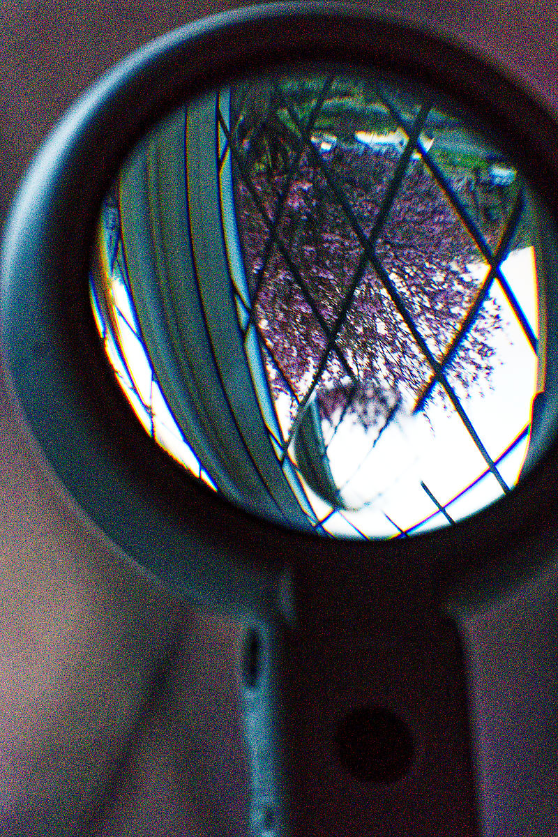 107:365 viewfinder