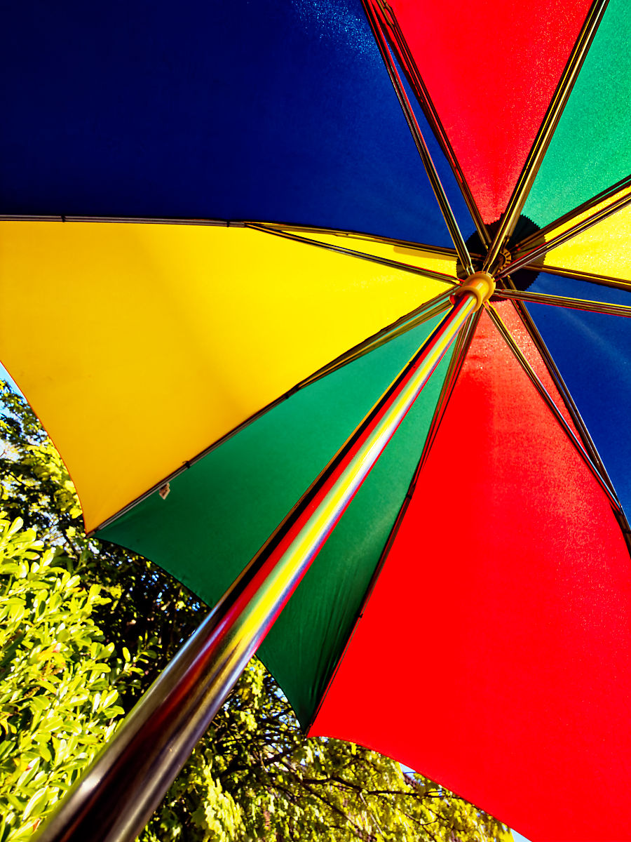 126:365 jolly brolly