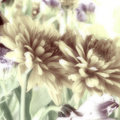 Muted