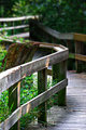 The Boardwalk