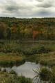 Fall Colors