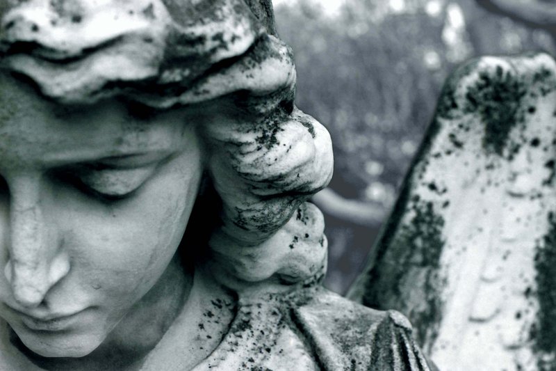 Angel Half View 2