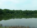 Dscf0028_dpc.jpg