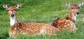 2005_0717_071231AA_dpc.JPG