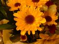 2005_0703_030034aa_dpc.jpg