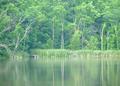 Lakes of Oakmont