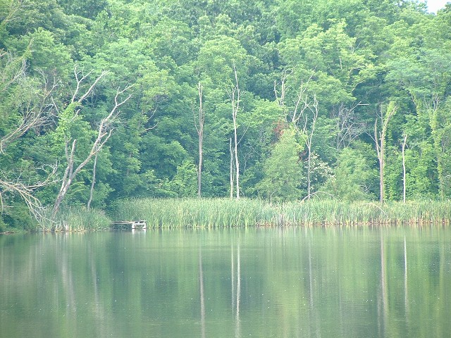 Dscf0023_original.jpg