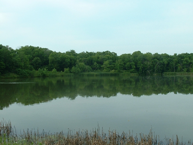 Dscf0028_dpc.jpg
