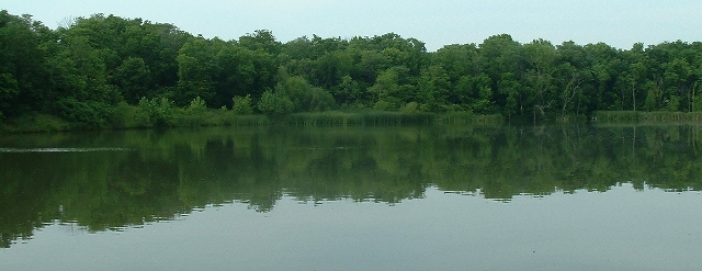 Dscf0028_dpc_pana.jpg