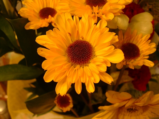 2005_0703_030034aa_dpc.jpg