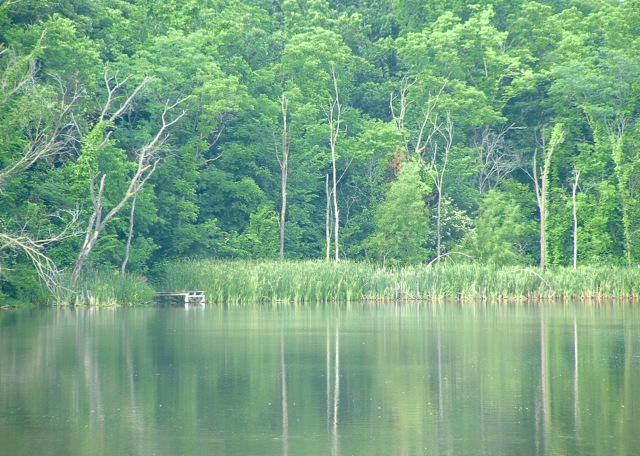 Lakes of Oakmont