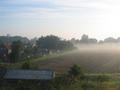 Early Morning Fog