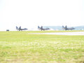 P4195475f22.jpg