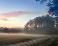 Morning Fog