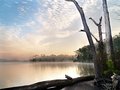 New River Fog