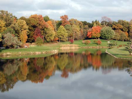 Reflections of fall