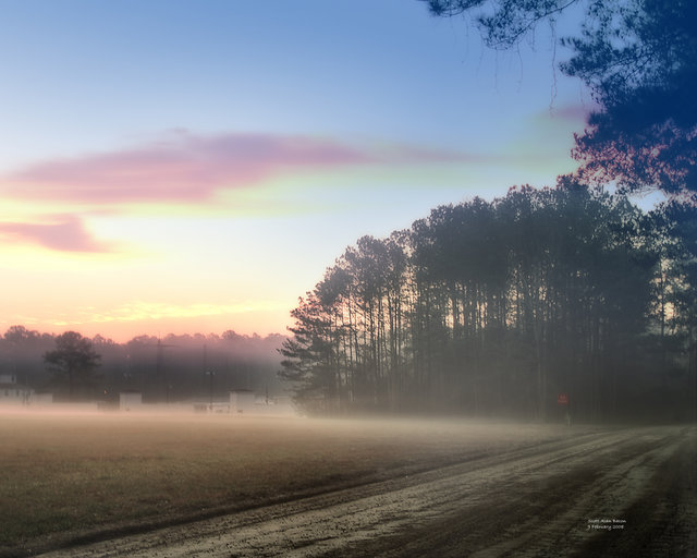 Morning Fog