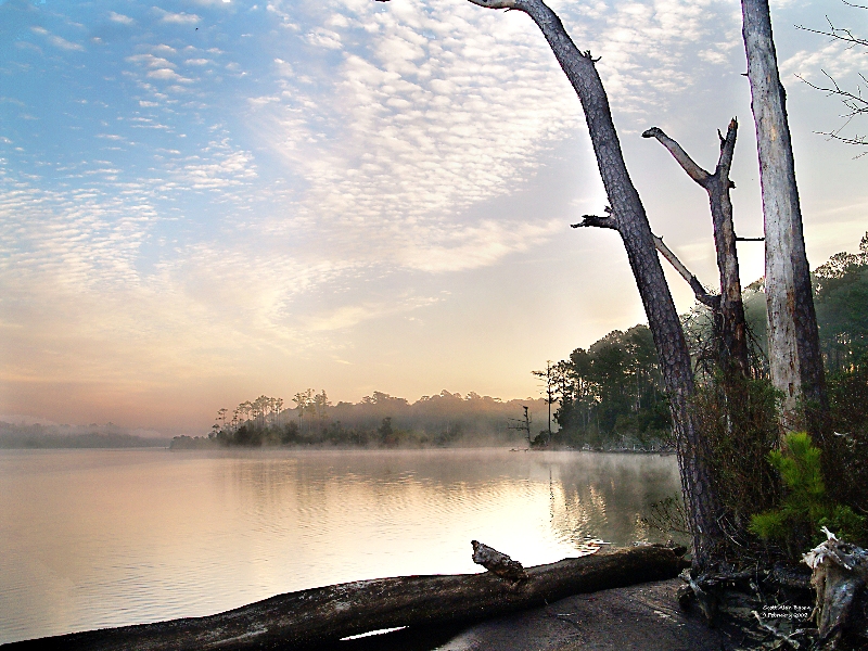 New River Fog
