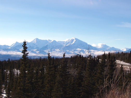 cleanup-mountain-1.jpg