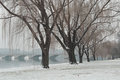 Potomac winter view