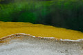 yellow and green