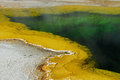 Yellow green No 1.