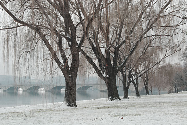 Potomac winter view