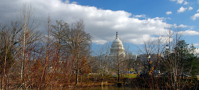 The Capitol
