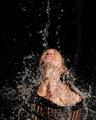 Splash 2