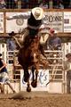 rodeo-7.jpg