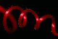Red Vine