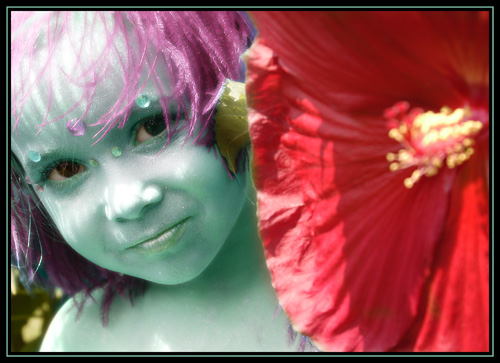 Nova Fairy