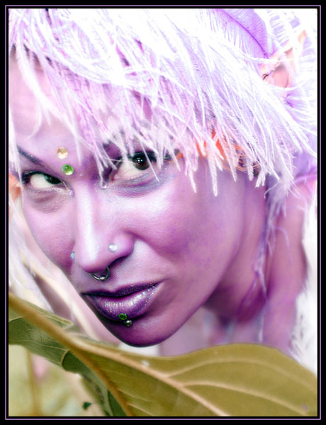 Purple Fairy