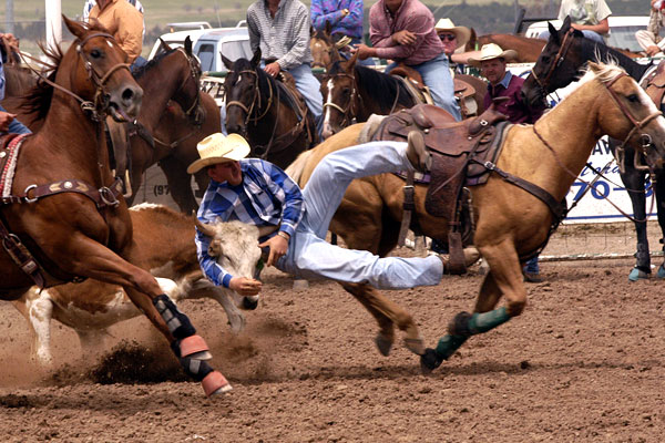 rodeo-8.jpg