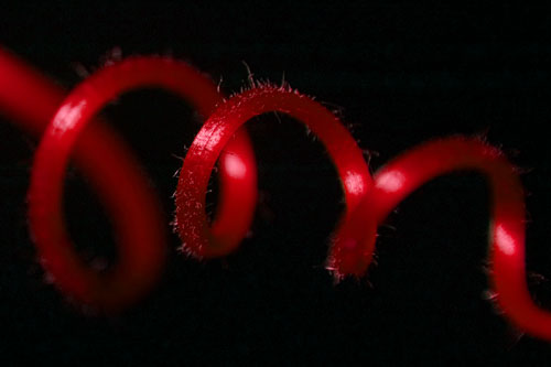 Red Vine
