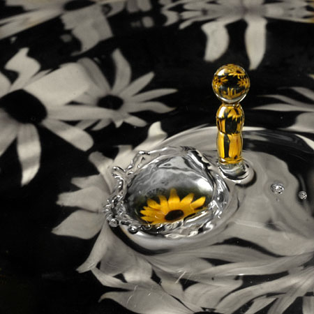 Susans Tears