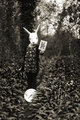 ' . substr('//images.dpchallenge.com/images_portfolio/25000-29999/25166/120/Copyrighted_Image_Reuse_Prohibited_1011930.jpg', strrpos('//images.dpchallenge.com/images_portfolio/25000-29999/25166/120/Copyrighted_Image_Reuse_Prohibited_1011930.jpg', '/') + 1) . '