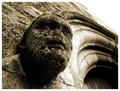 Pro Cathedral II