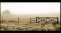 Fence (sepia)