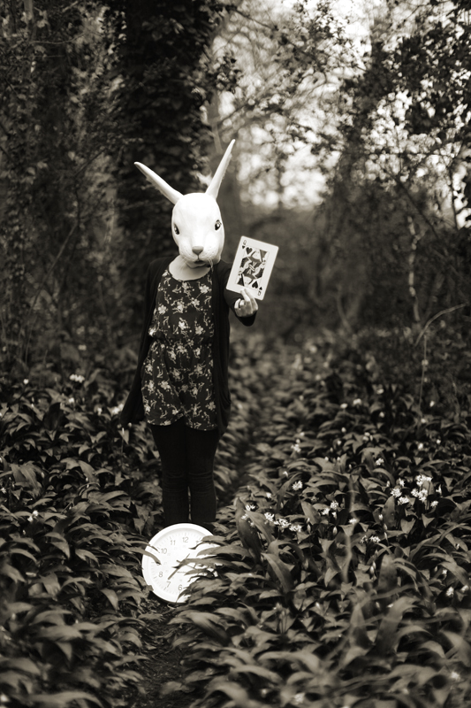 Rabbit_Minimal