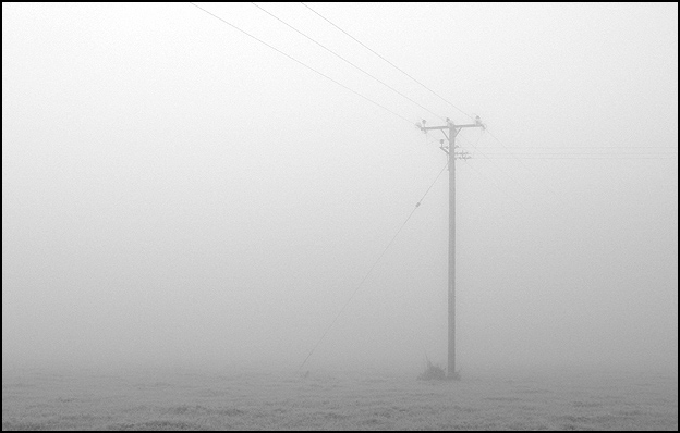 Mast In Mist