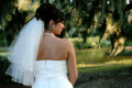 IMG_5552gb.jpg