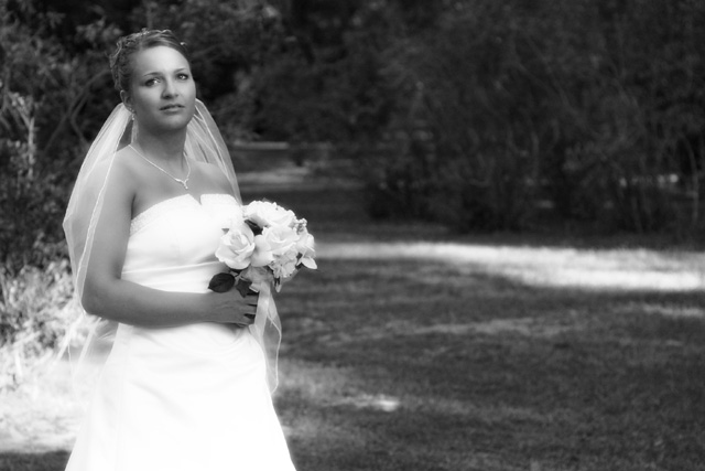 IMG_8470_bw.jpg