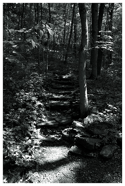 Path